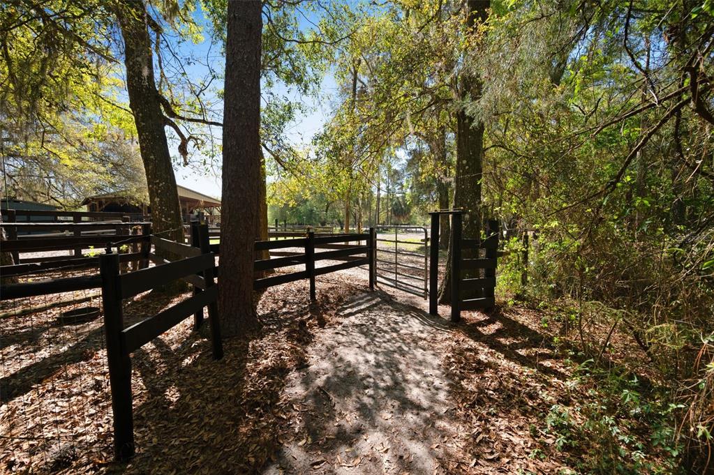 15311 Southwest 107th Street Archer, FL 32618 - Photo 11 of 58