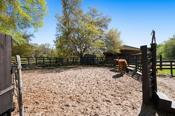 a view of backyard space with trees
