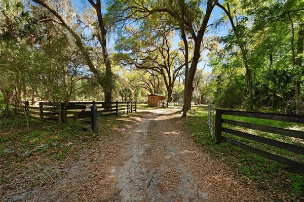 a view of yard with green space