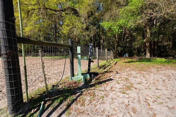 a view of a garden with a bench and some trees