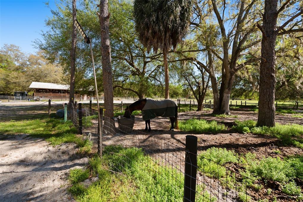 15311 Southwest 107th Street Archer, FL 32618 - Photo 23 of 58