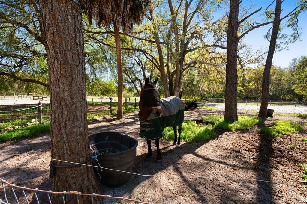 15311 Southwest 107th Street Archer, FL 32618 - Photo 24 of 58