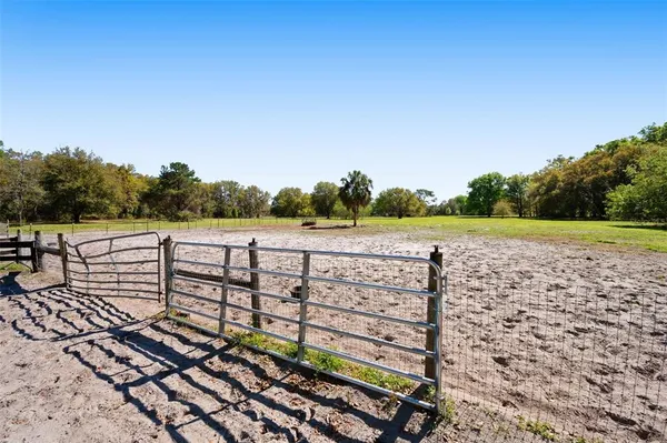 a view of a small house with a yard and tree s