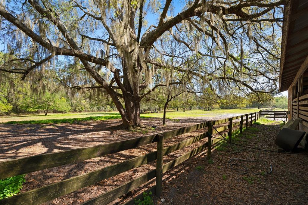 15311 Southwest 107th Street Archer, FL 32618 - Photo 26 of 58