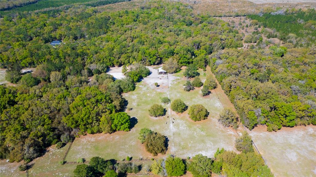 15311 Southwest 107th Street Archer, FL 32618 - Photo 48 of 58