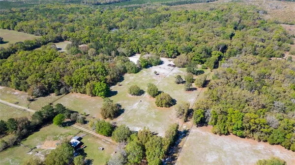 a view of a tree with a yard
