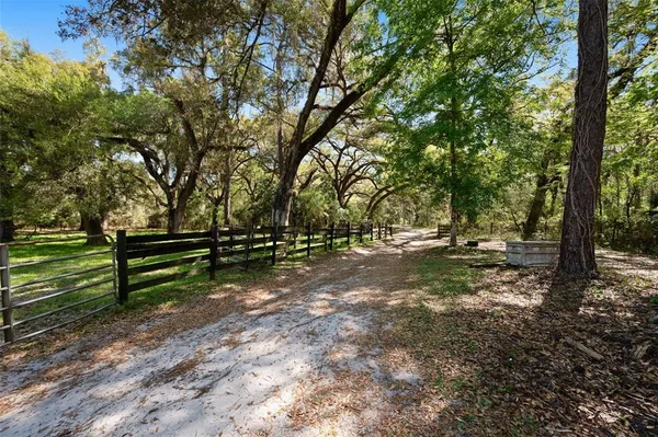 a view of outdoor space with trees