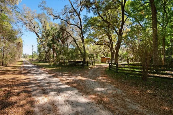 a view of backyard with green space