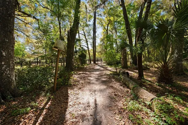 a view of outdoor space and trees