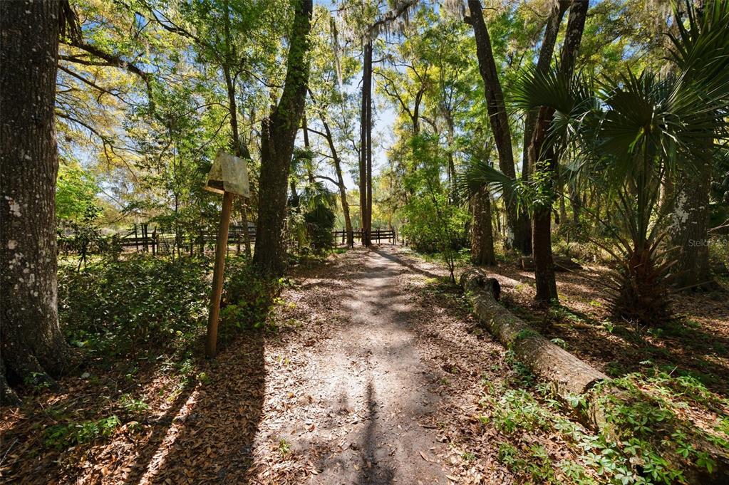 15311 Southwest 107th Street Archer, FL 32618 - Photo 10 of 58