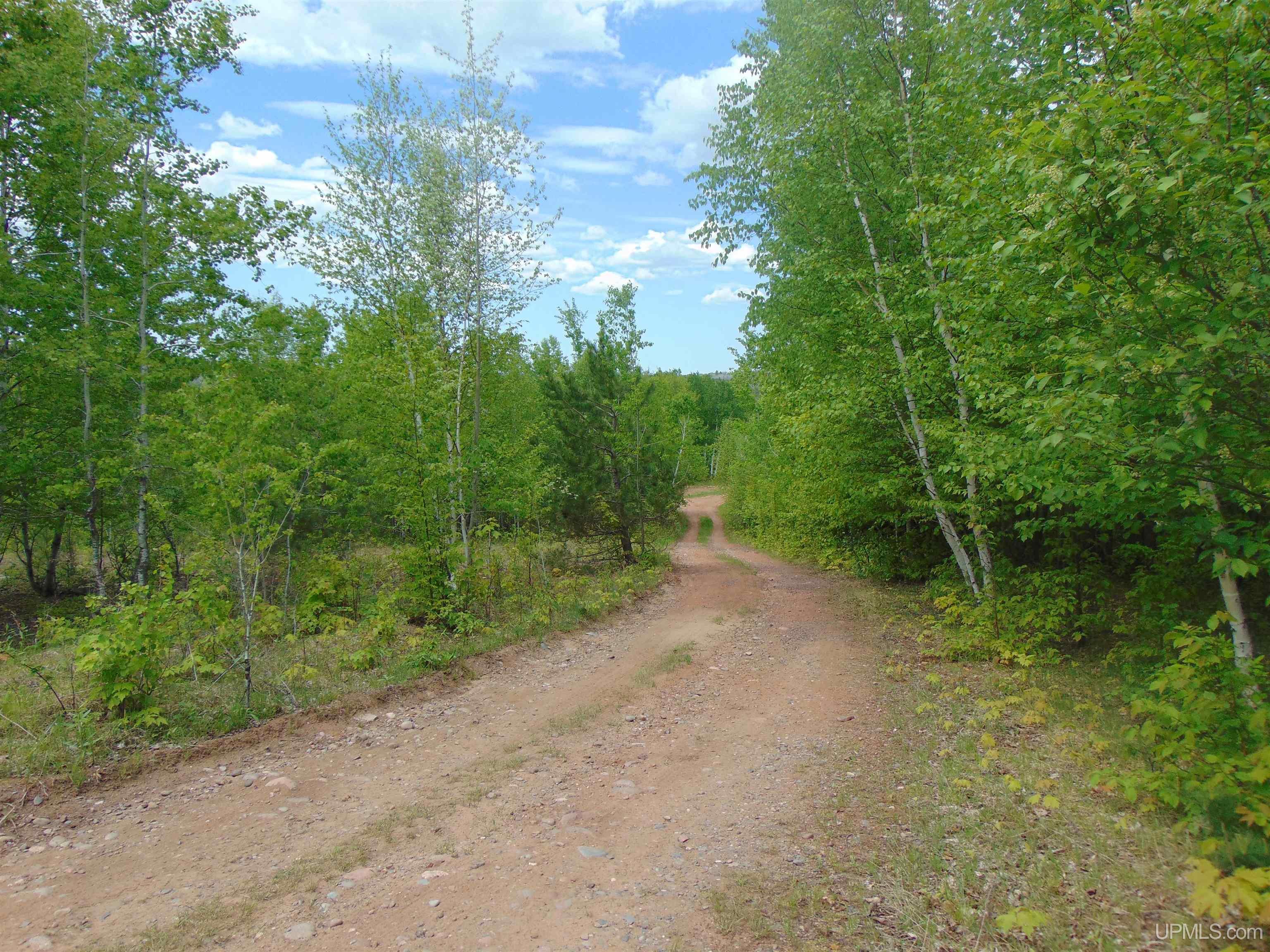 Tbd 1 Off M28 Road Trout Creek, MI 49967 - Photo 23 of 24