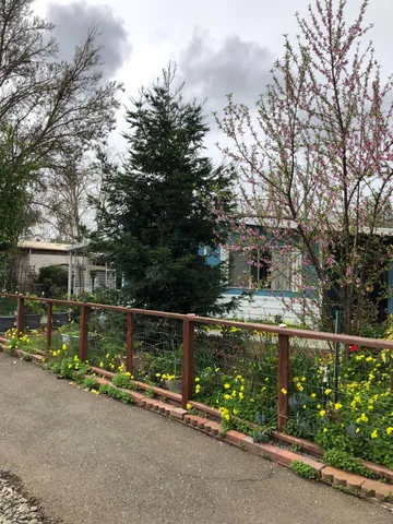 a living room with furniture a rug and gym equipment