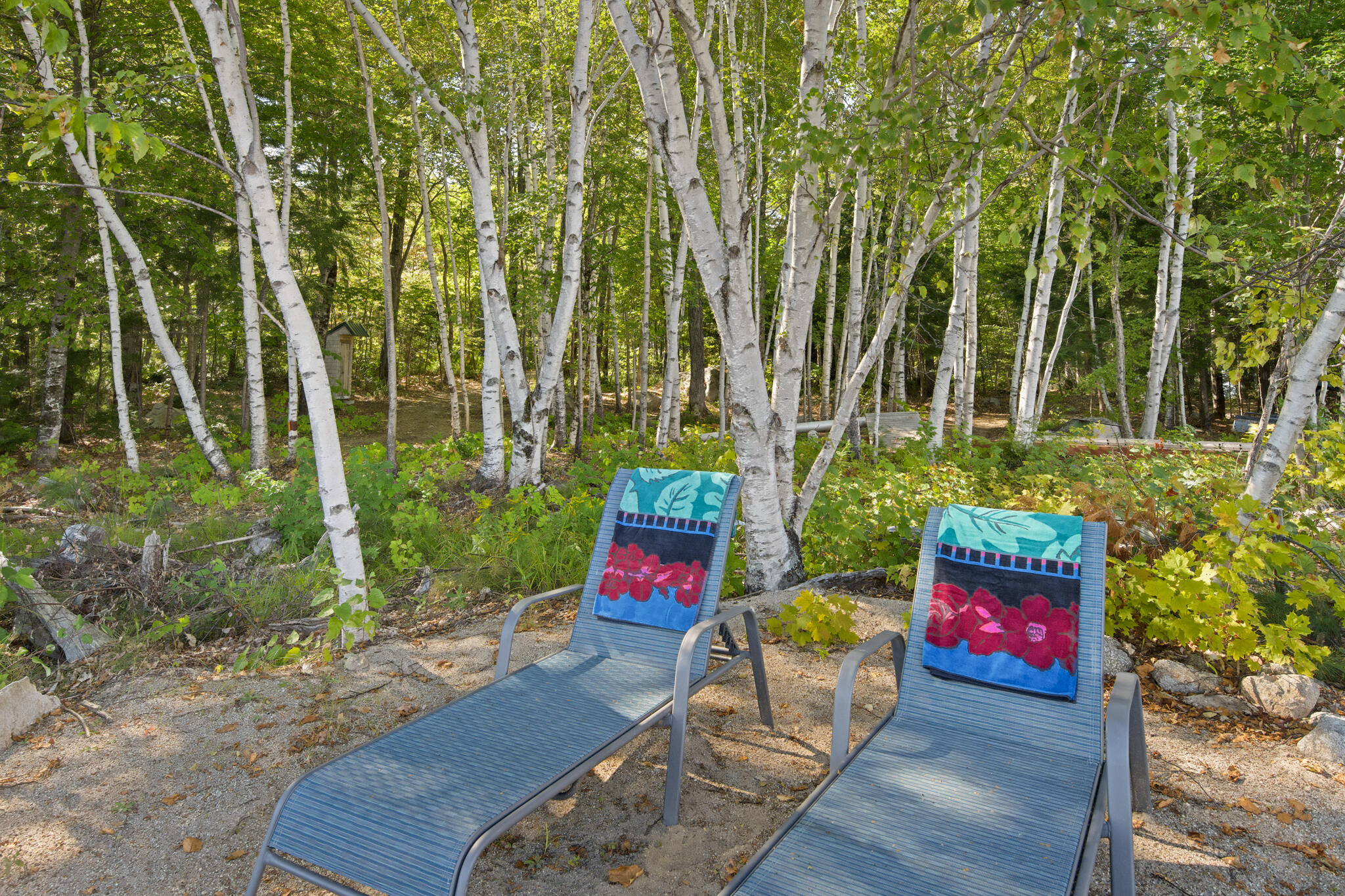 49 Map Pi010 Plan 11 Millinocket, ME 04462 - Photo 6 of 71 Birches