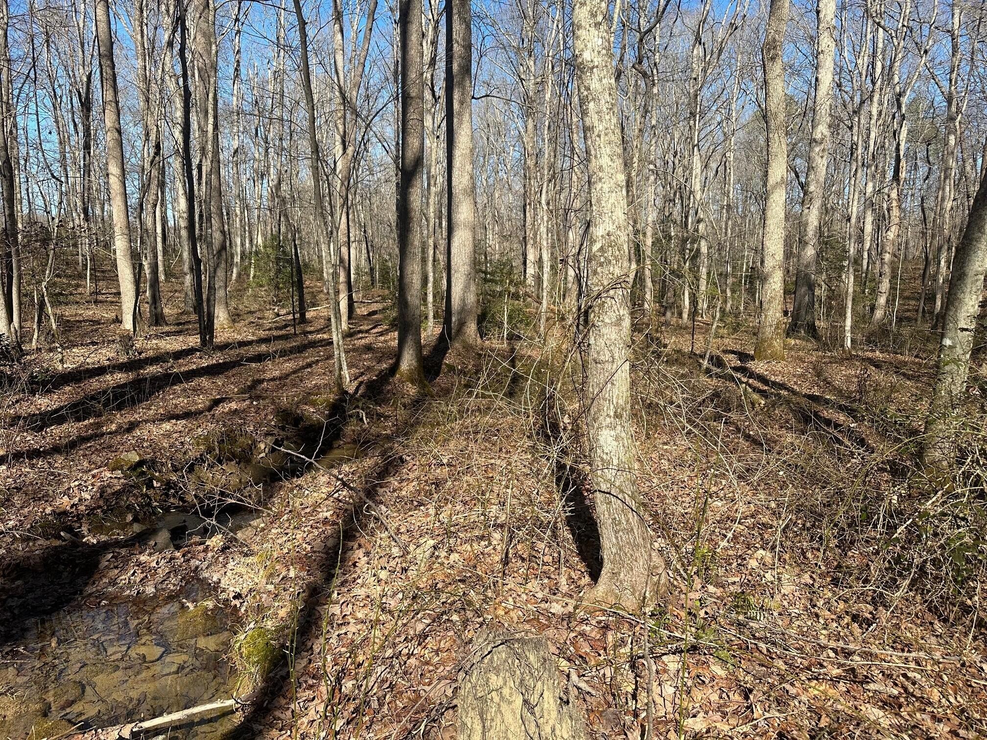 1 Newt Meeks Road Tracy City, TN 37387 - Photo 15 of 18 Gallery Image 15