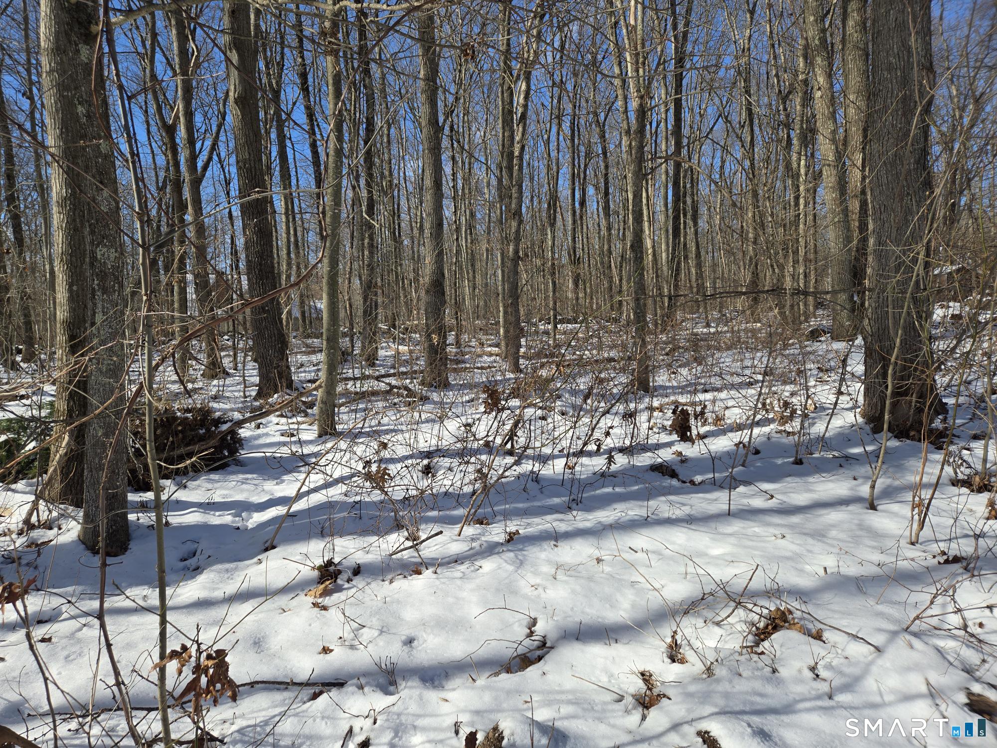 59 Dickinson Road Marlborough, CT 06447 - Photo 4 of 38