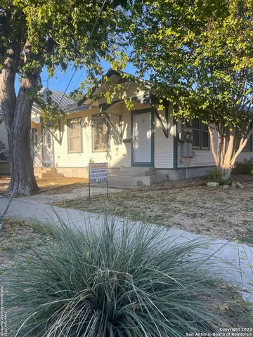a view of a yard with plants and trees