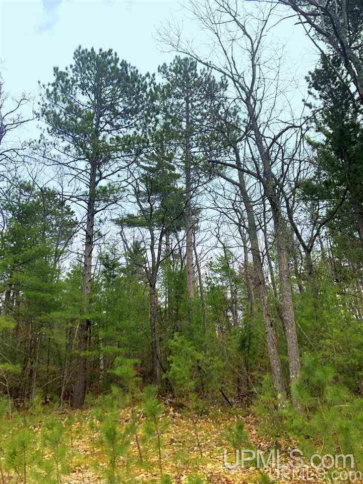 Tbd Valley Road Marquette, MI 49855 - Photo 40 of 59