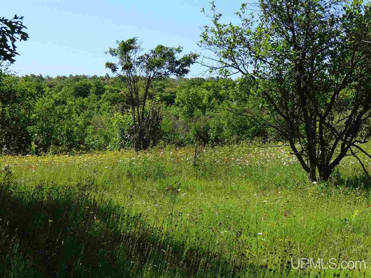 Tbd Sedar Hill Road Calumet, MI 49913 - Photo 16 of 21