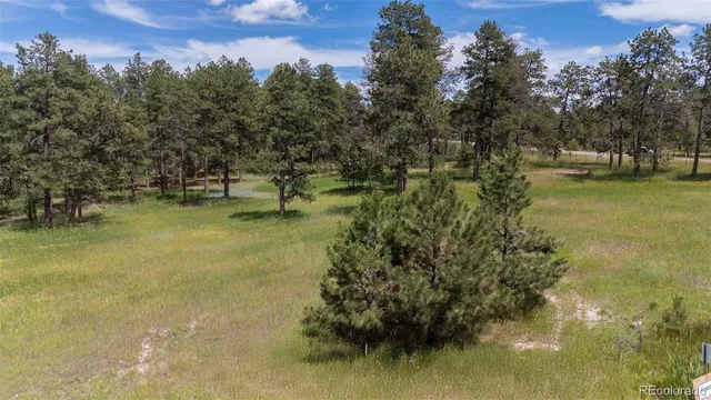$2,288,000 | 34050 Forest Park Drive, Elizabeth, CO 80107
