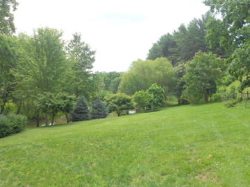 6121 Mt Chestnut Road Roanoke, VA 24018 - Photo 11 of 15 DSCN1612