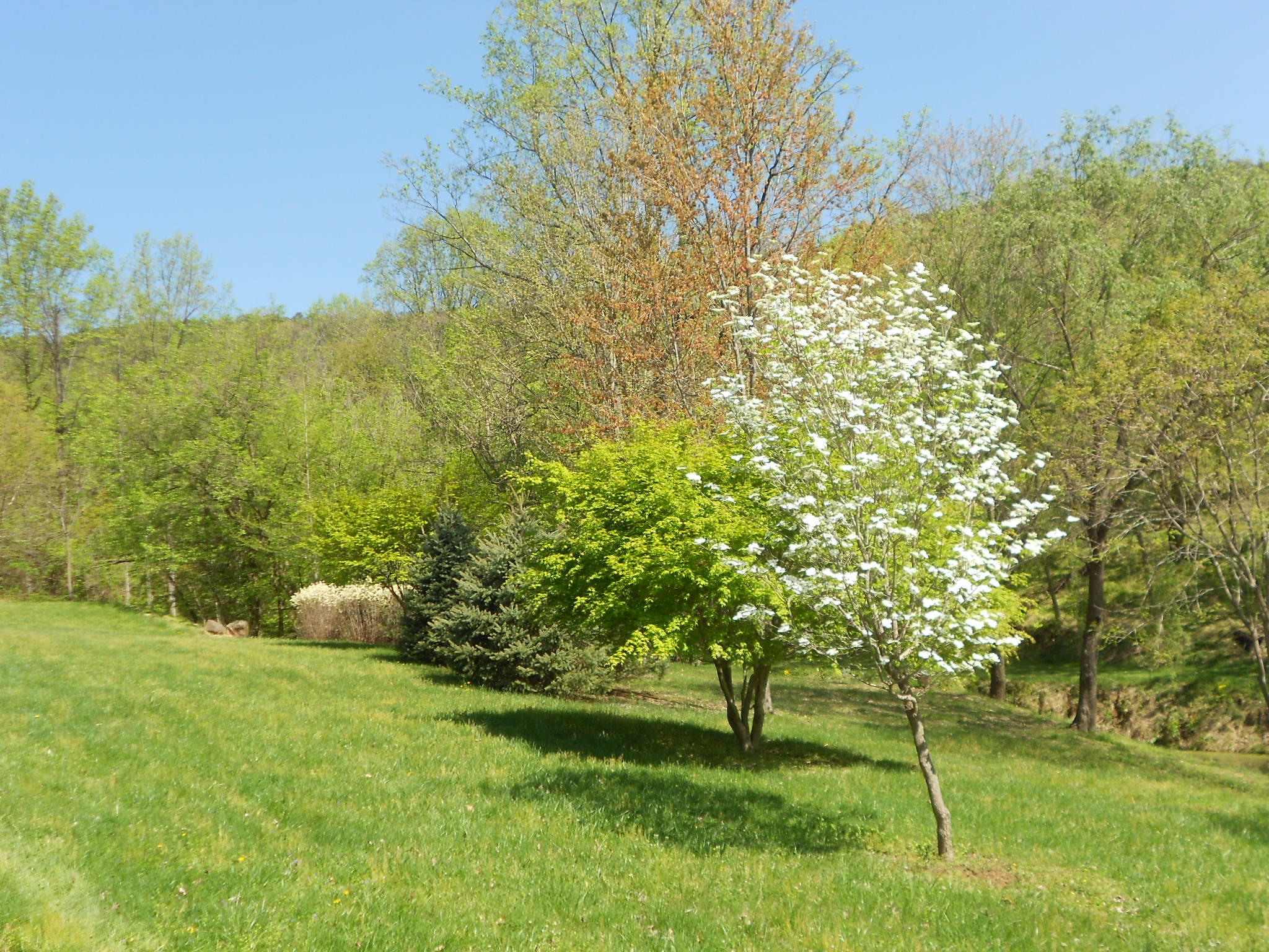 6121 Mt Chestnut Road Roanoke, VA 24018 - Photo 4 of 15 DSCN1973