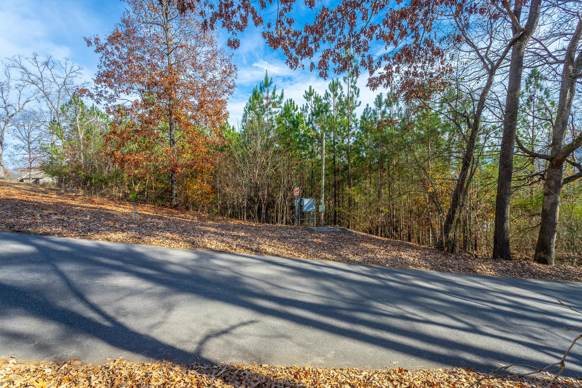 220 Albet Pilgrim Road Jasper, TN 37347 - Photo 11 of 16 220 Albert Pilgram Road HD-6
