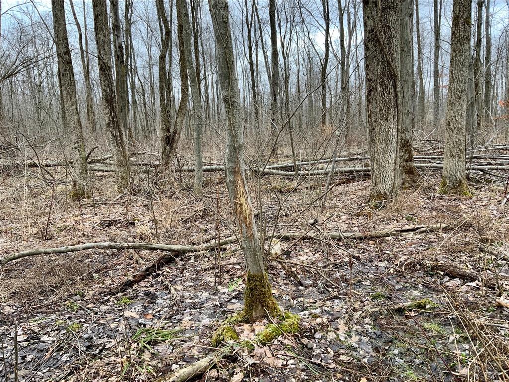 0 Marley Road Jamestown, PA 16134 - Photo 22 of 25