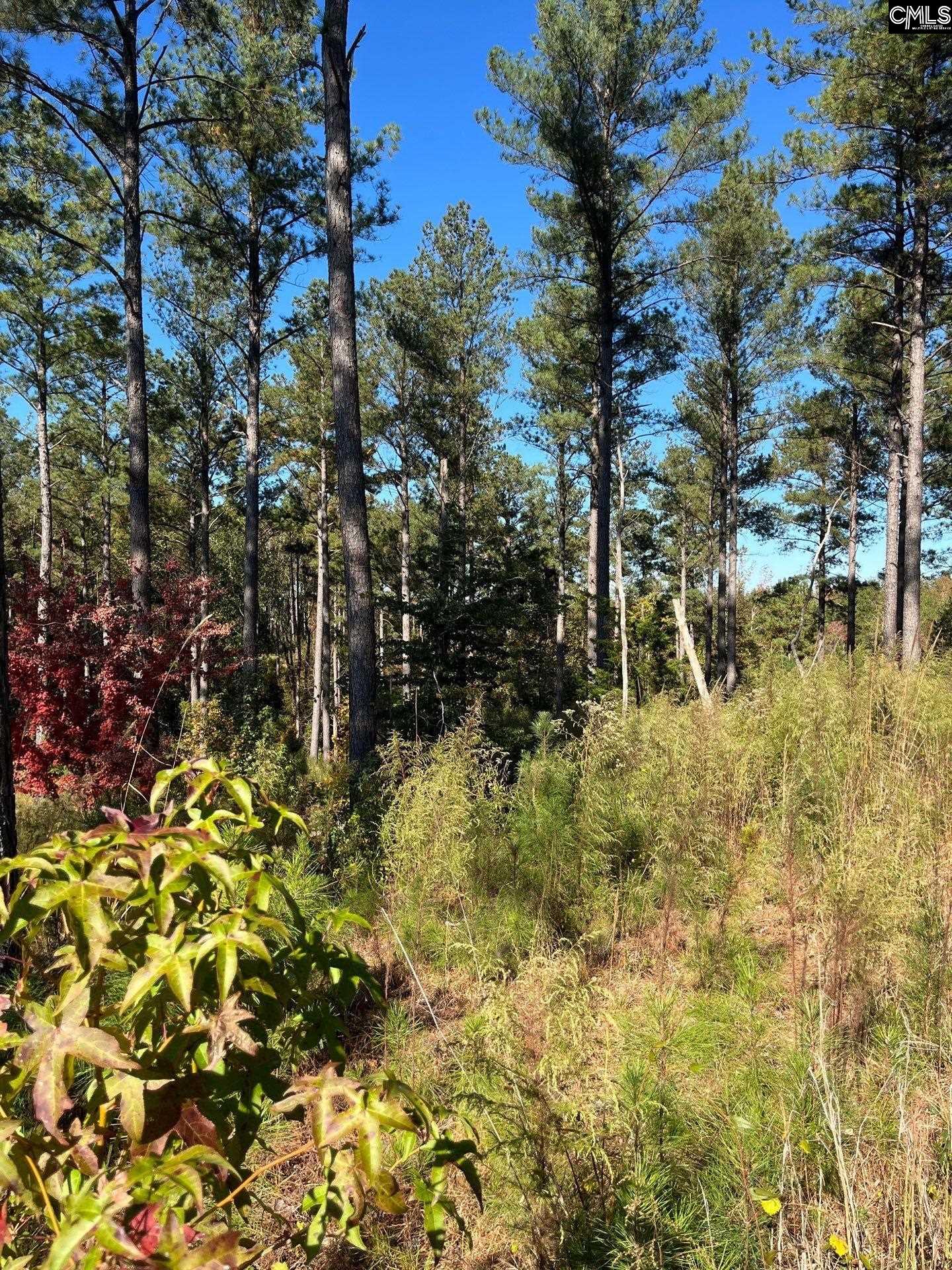 3 Dawkins Road, Unit DRF 3 Whitmire, SC 29178 - Photo 24 of 38