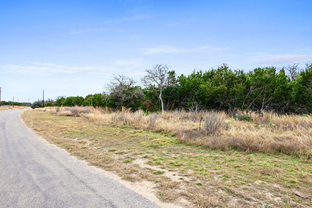 4718 Private Road Kempner, TX 76539 - Photo 20 of 28 a view of lake