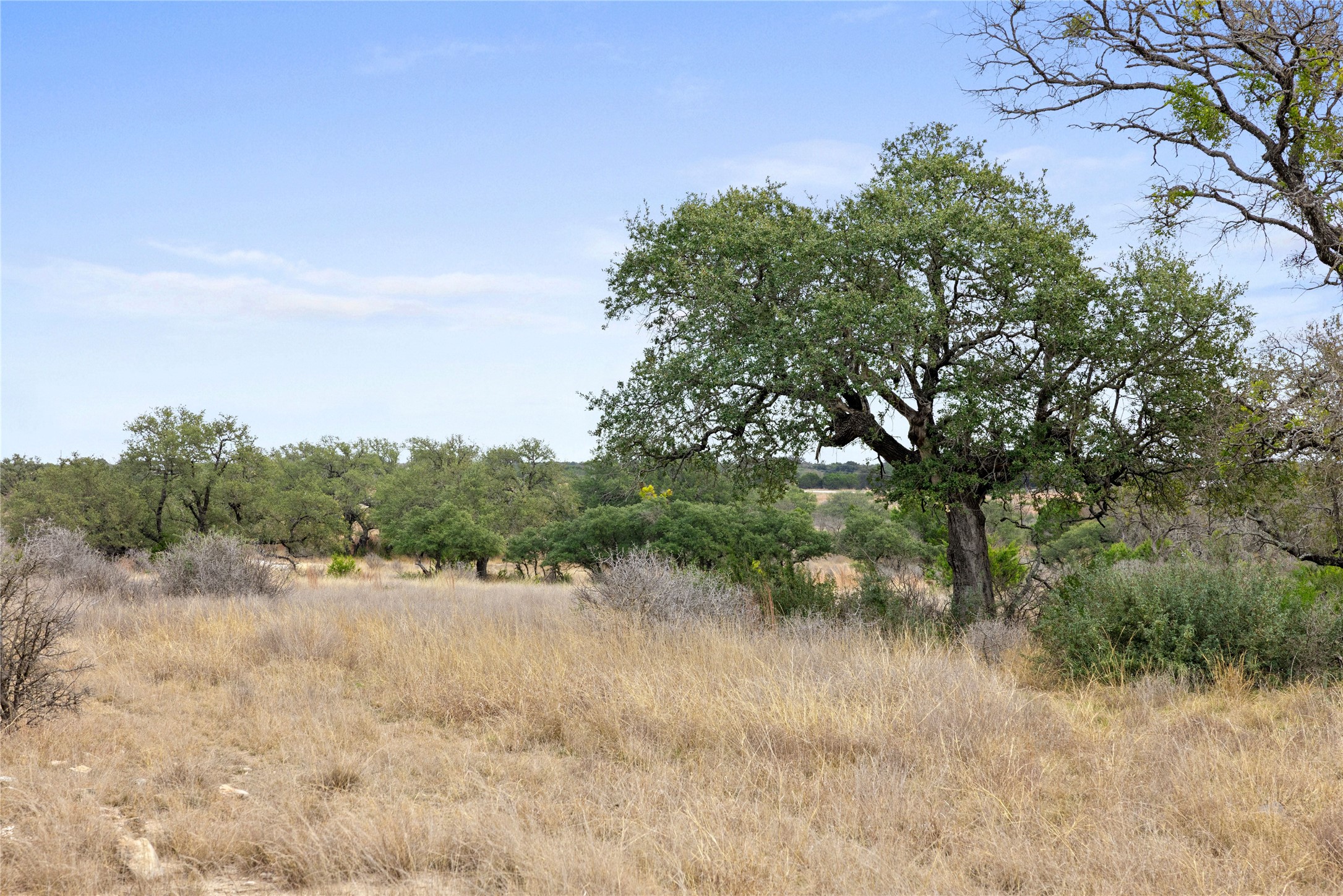 4718 Private Road Kempner, TX 76539 - Photo 23 of 36 a view of lake
