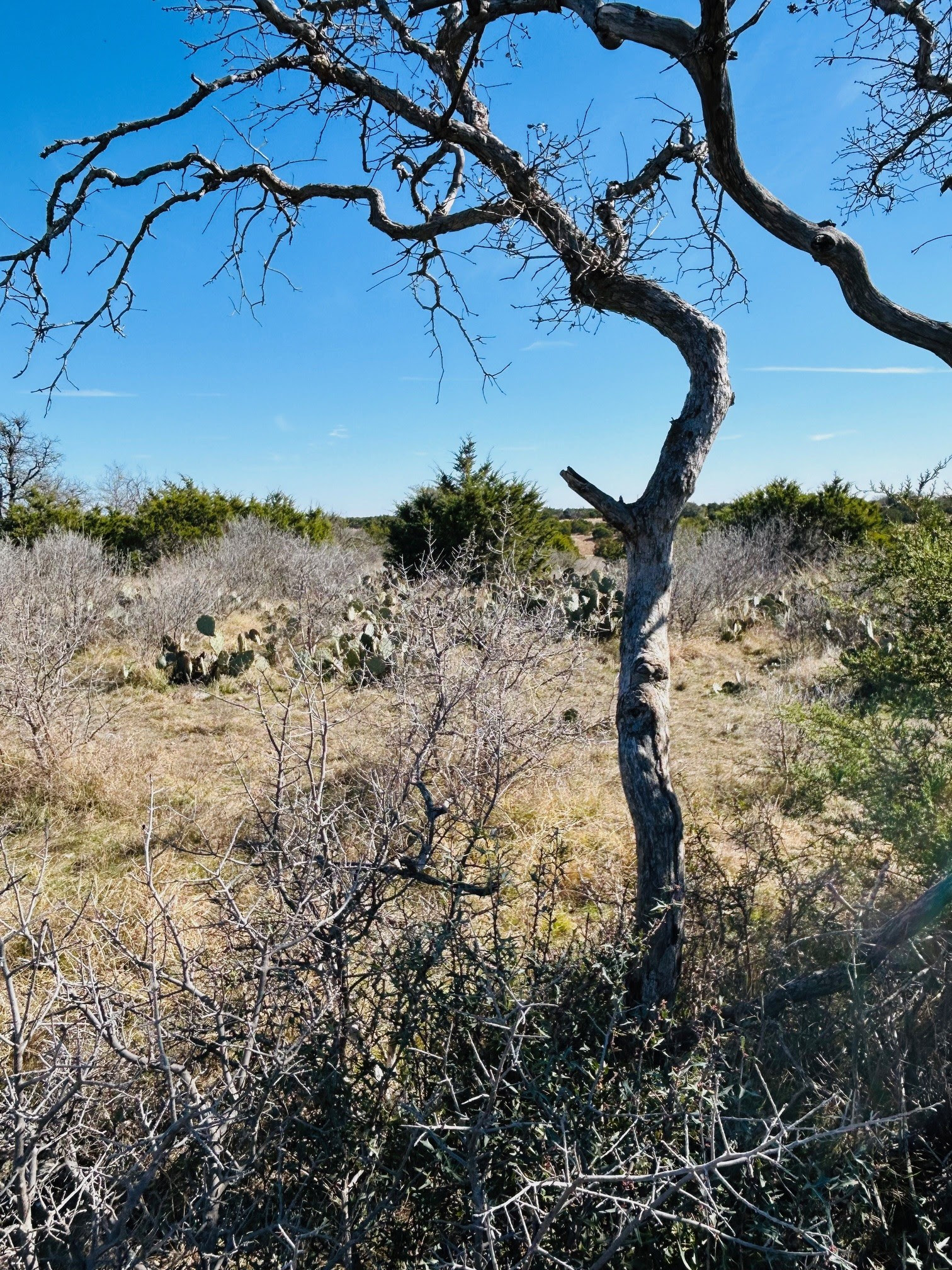 4718 Private Road Kempner, TX 76539 - Photo 35 of 36 a view of a house