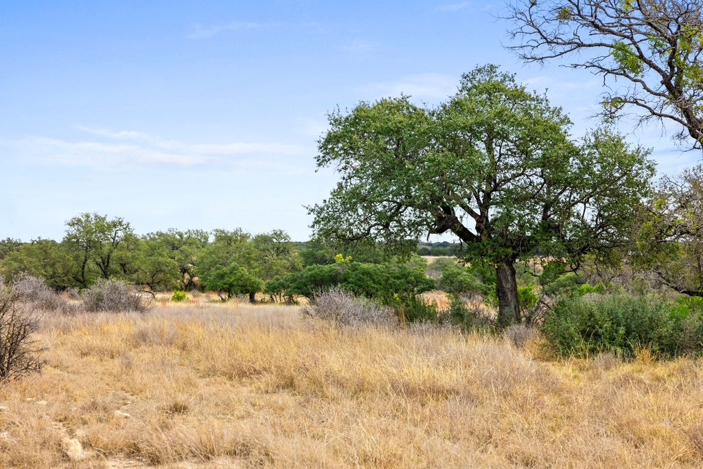 4718 Private Road Kempner, TX 76539 - Photo 9 of 28 a view of lake with green space