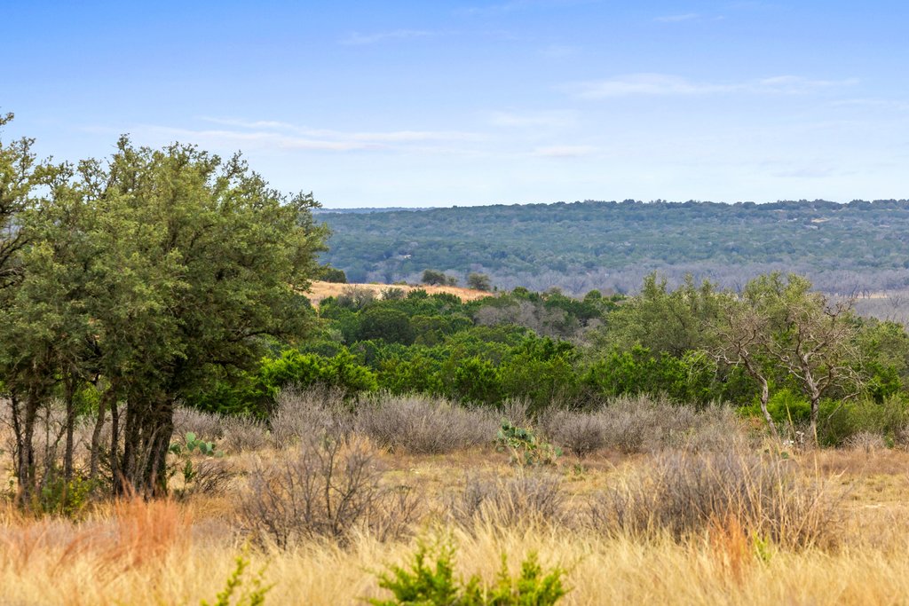 4718 Private Road Kempner, TX 76539 - Photo 10 of 28 a view of a lake in middle of forest