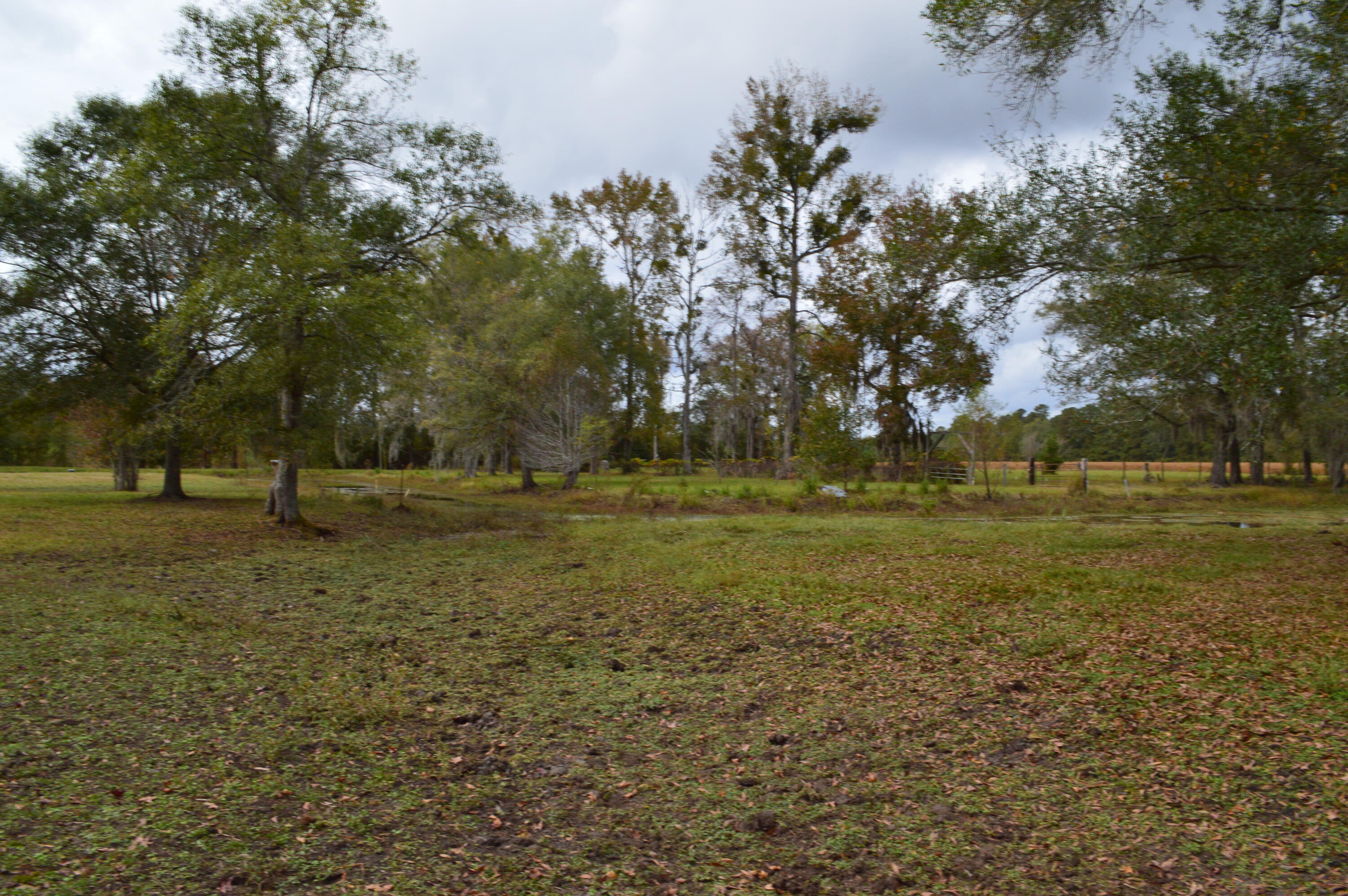 114 Van L Road Kingstree, SC 29556 - Photo 38 of 201 DSC_0081