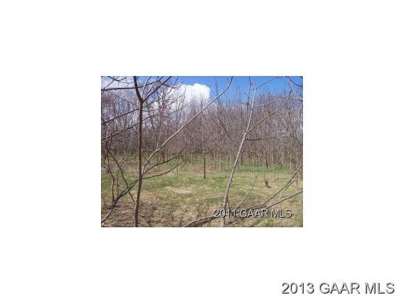 Tbd Lebanon Church Road Mt Sidney, VA 24467 - Photo 3 of 4 Gallery Image 3