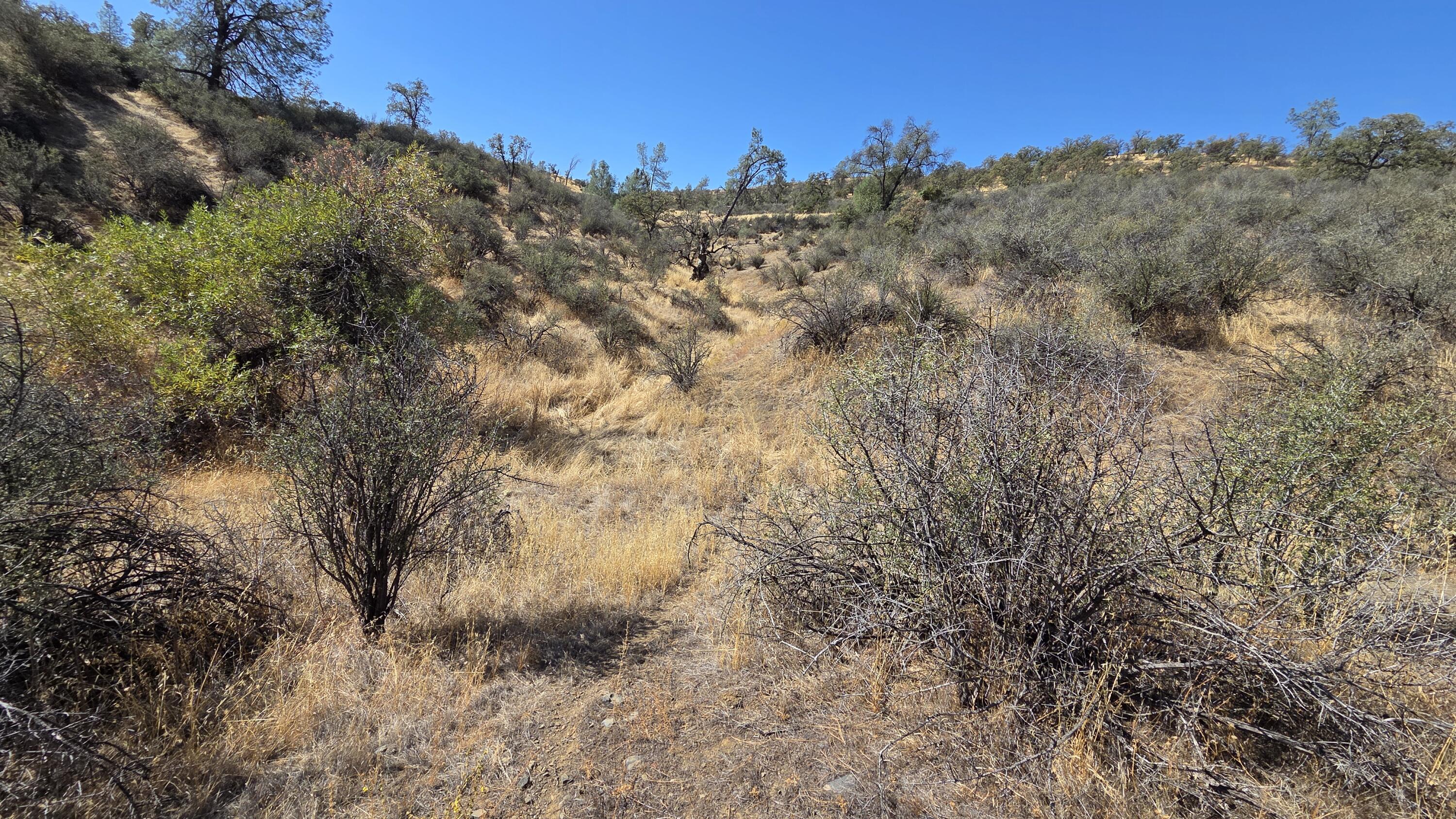 Lot 64 Gogo Road Igo, CA 96047 - Photo 33 of 36 20260916_112054