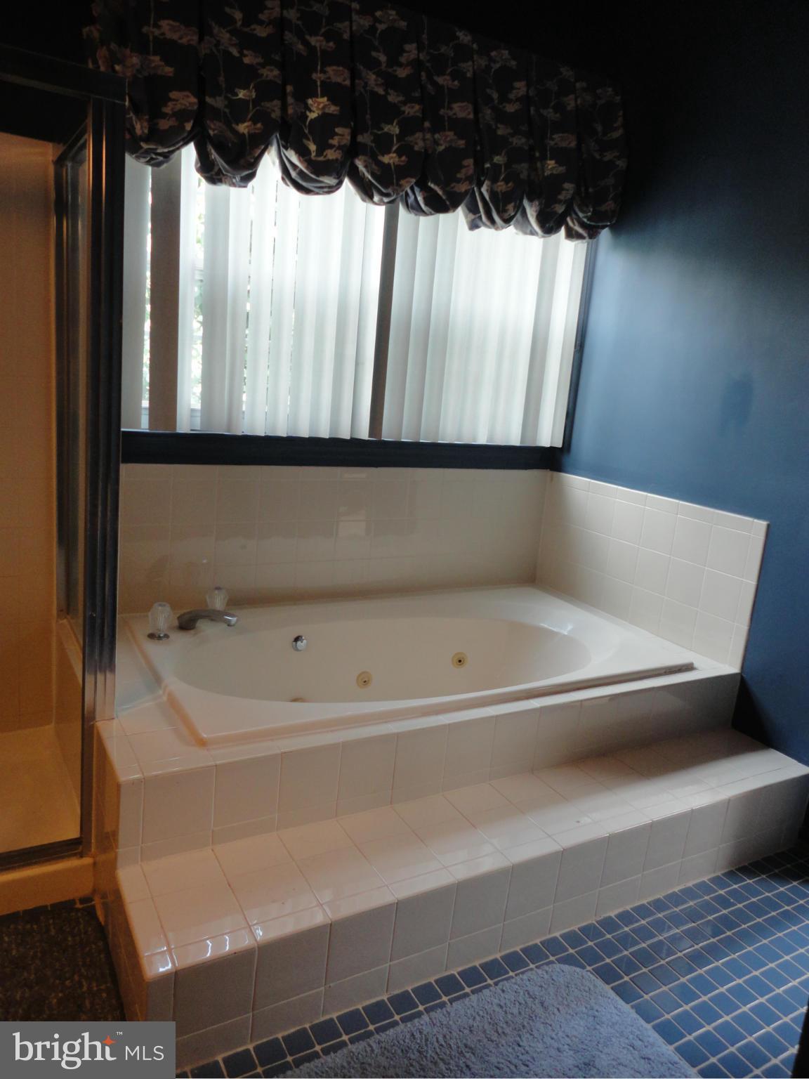 9717 Magledt Road Baltimore, MD 21234 - Photo 14 of 27 Bath (Master)