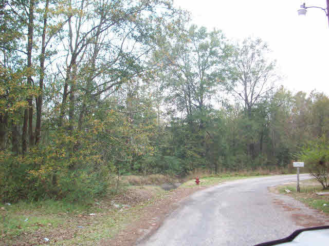 7 Fennell Street Atmore, AL 36502 - Photo 3 of 11