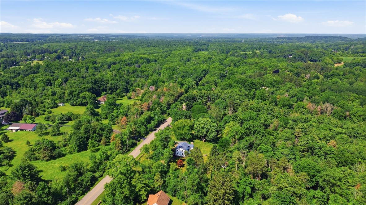 572 Honeoye Falls Five Points Road Rush, NY 14472 - Photo 44 of 47