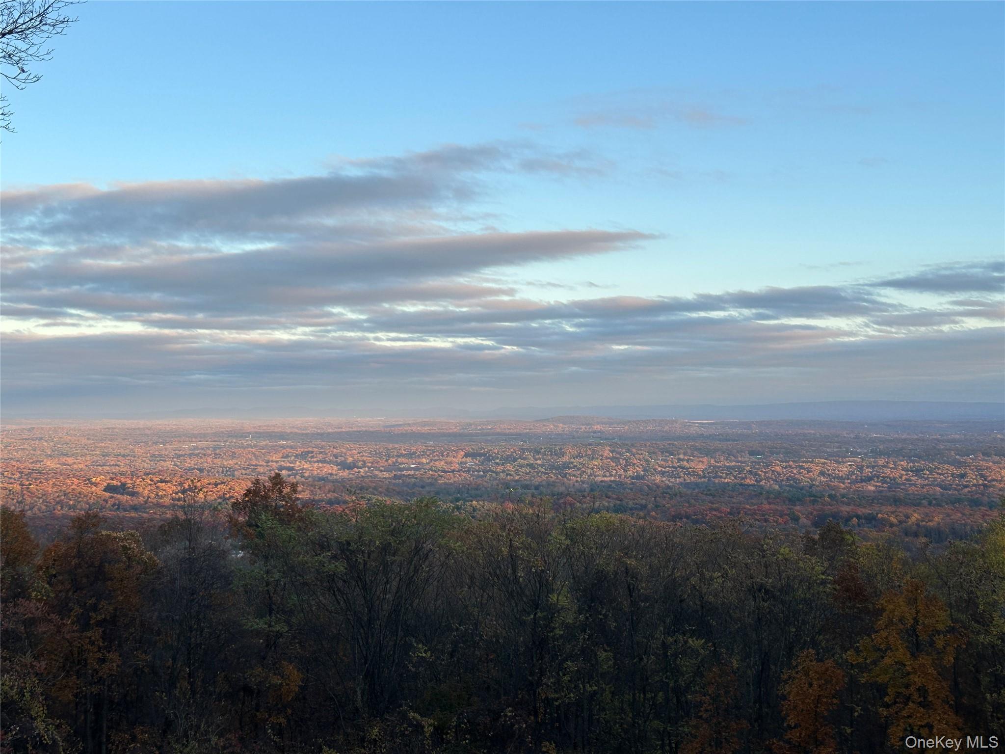 68 Plank Road Bloomingburg, NY 12721 - Photo 18 of 20 Fall from the back deck.
