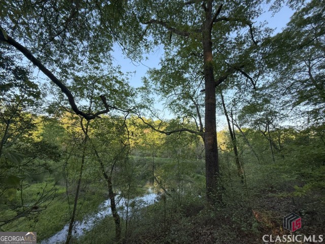 0 Moore Road Elberton, GA 30635 - Photo 49 of 67