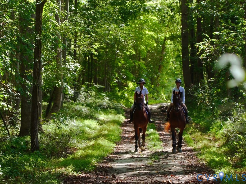 639 Sandy Point Road West Point, VA 23181 - Photo 12 of 45 Miles of trails right off the property.
