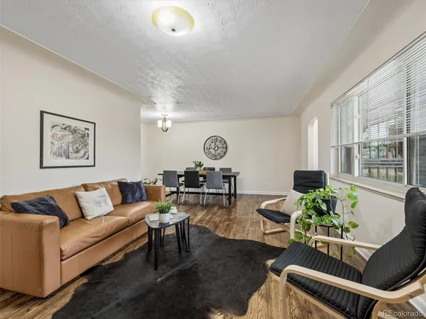 a living room with furniture a rug potted plant and a window