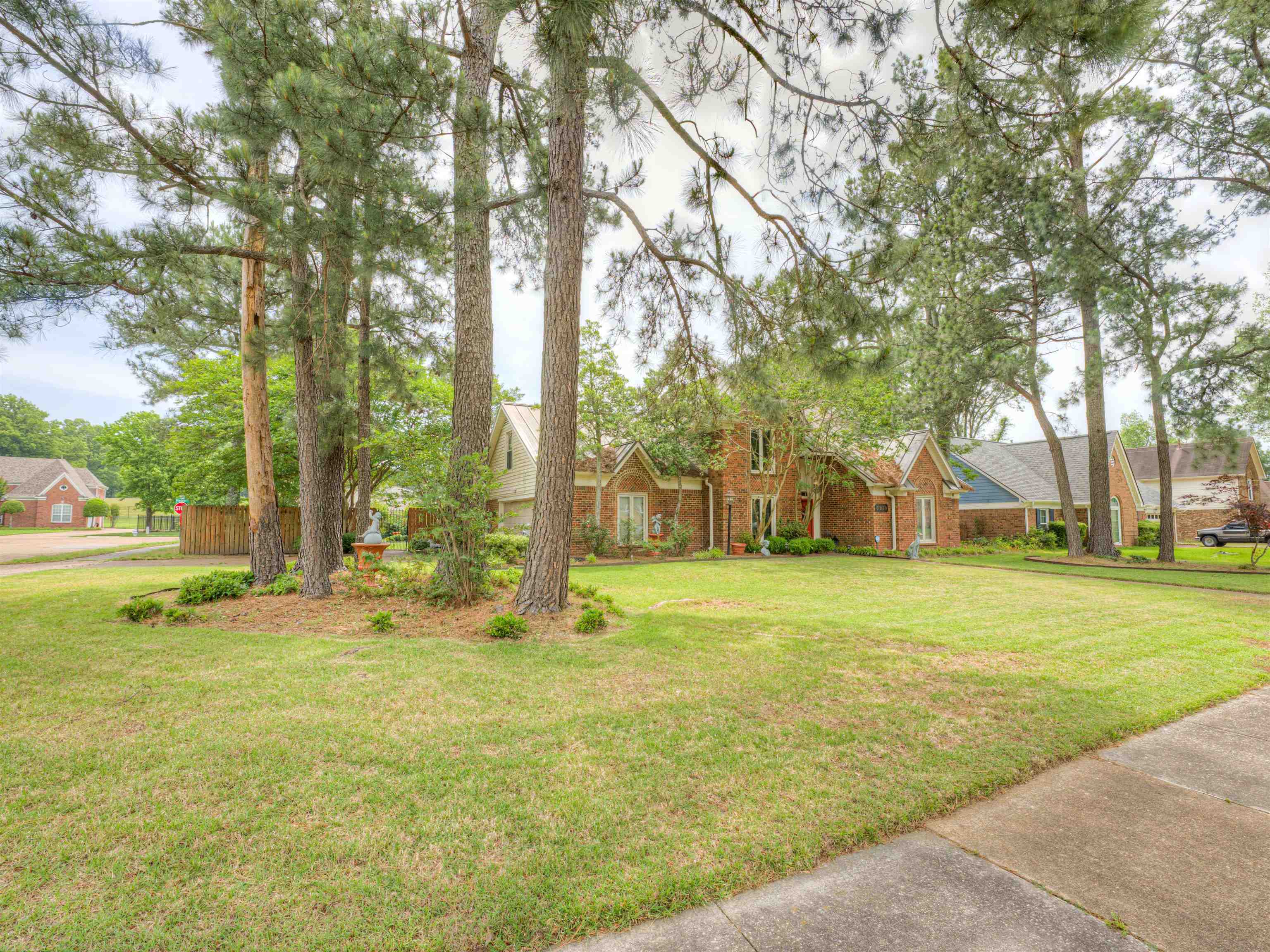 3930 Bobby Jones Road Memphis, TN 38125 - Photo 29 of 35 a view of a trees in front of a big yard with large trees