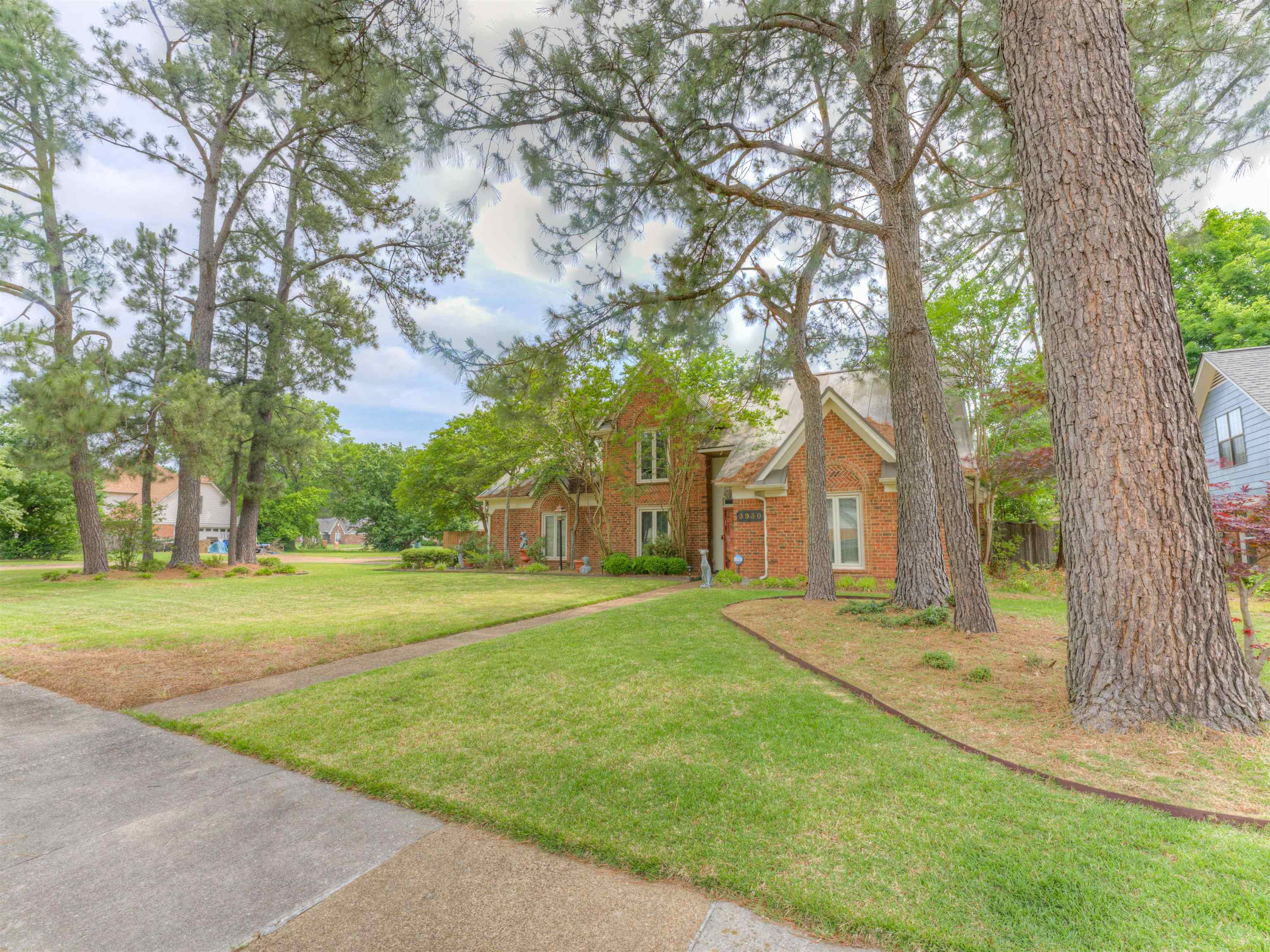 3930 Bobby Jones Road Memphis, TN 38125 - Photo 30 of 35 a tall tree in middle of green field in front of house