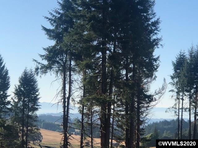 7501 Skyline Road South Salem, OR 97306 - Photo 3 of 13 a view of mountain view with lots of trees