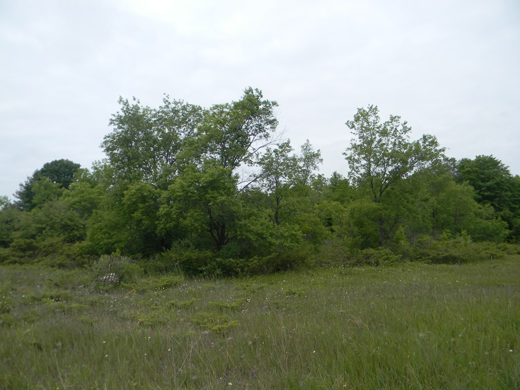 Rasner Way Fish Creek, WI 54212 - Photo 3 of 14