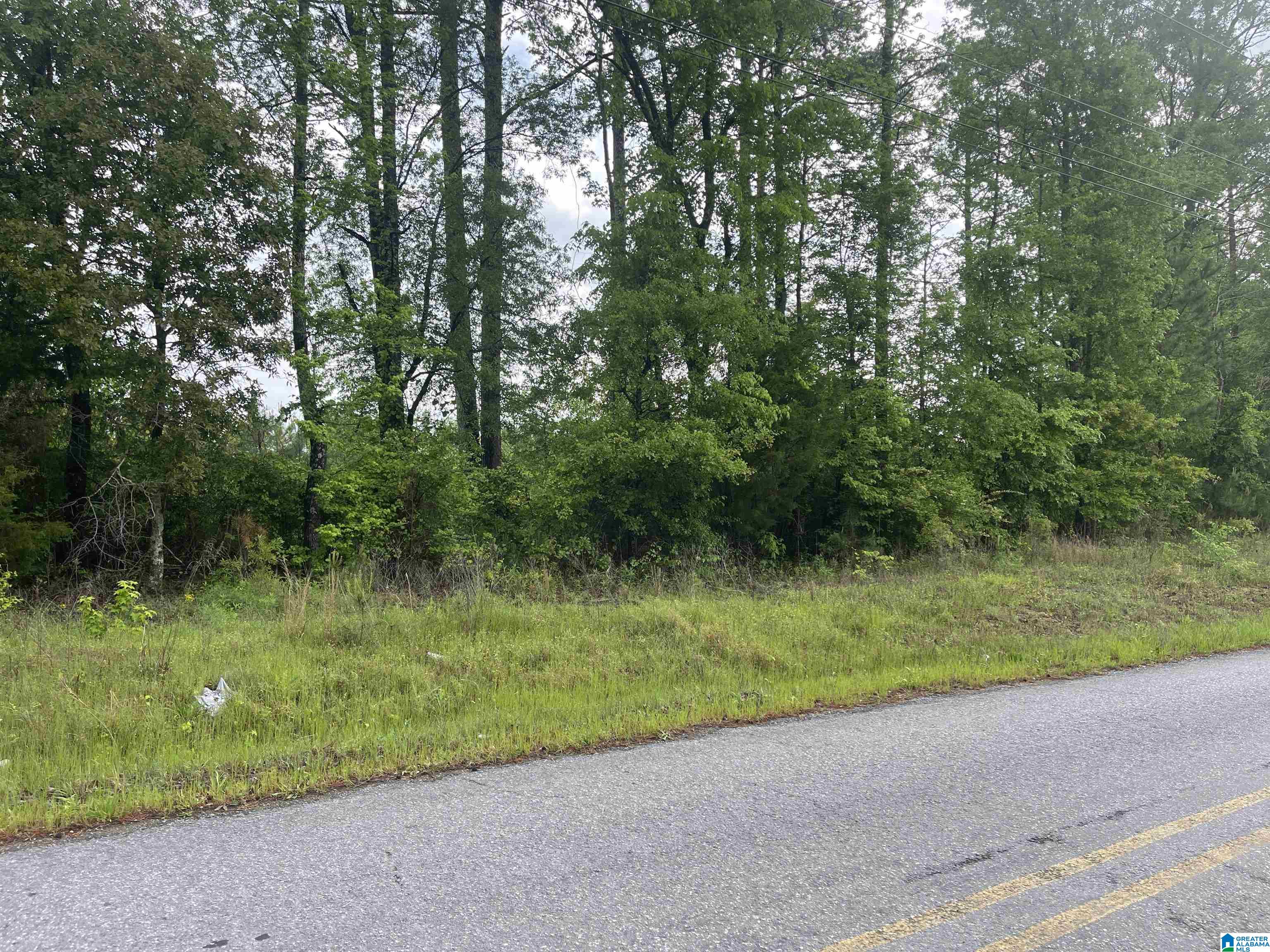 2760 Mitchellville Road, Unit 2 75 Lincoln, AL 35096 - Photo 4 of 11