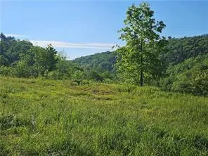 a view of a field of grass and trees