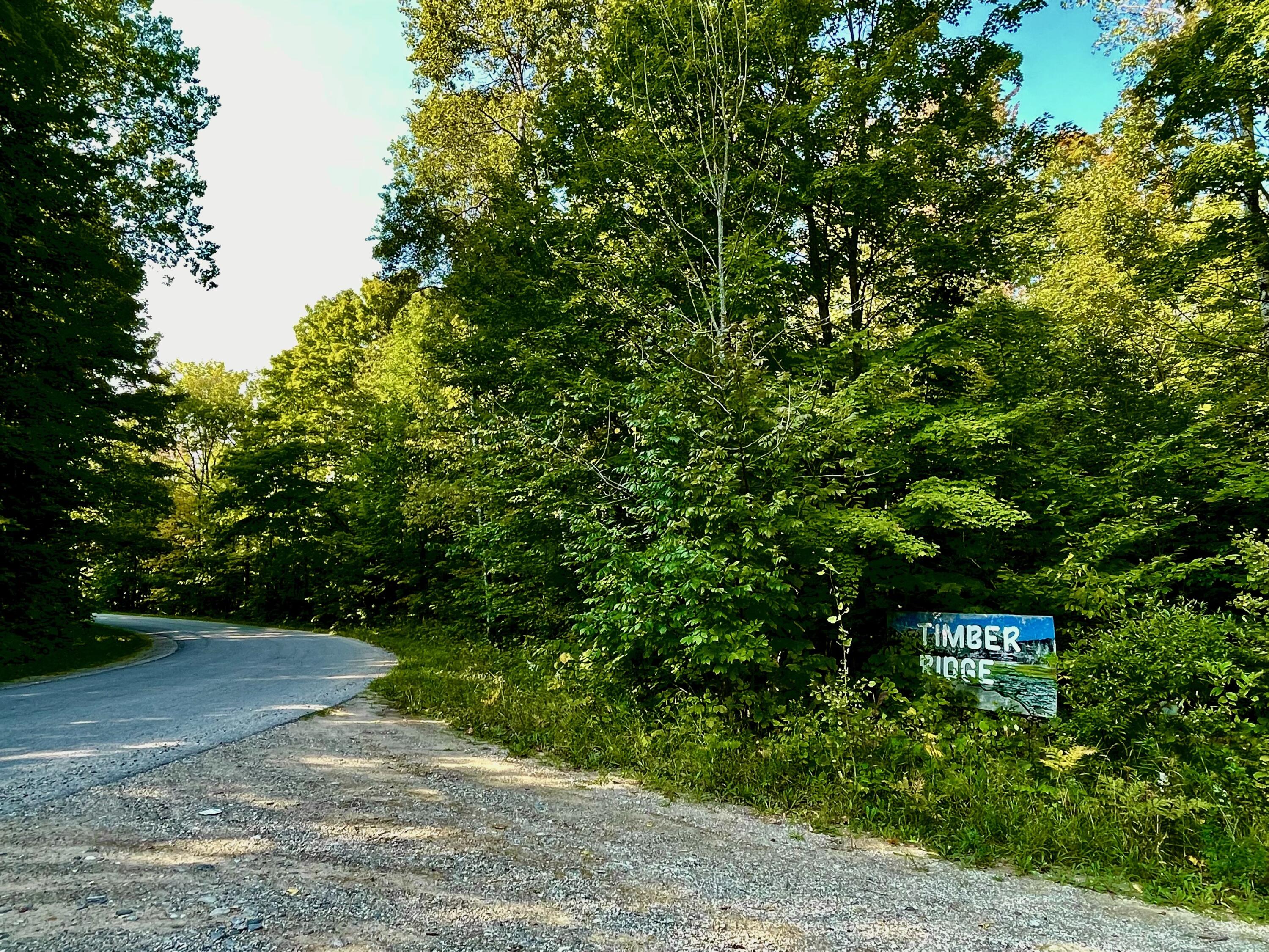 Ridge Road East Jordan, MI 49727 - Photo 3 of 42 IMG_2579